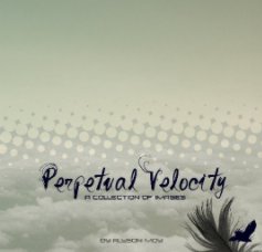 Perpetual Velocity book cover