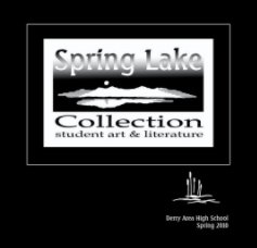 The Spring Lake Collection 2010 book cover