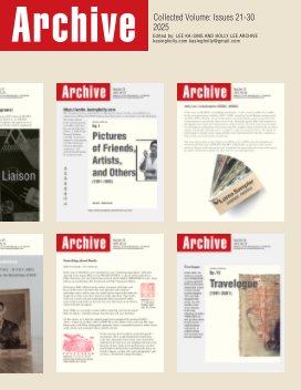 ARCHIVE (Collected Volume Issues 21-30) book cover