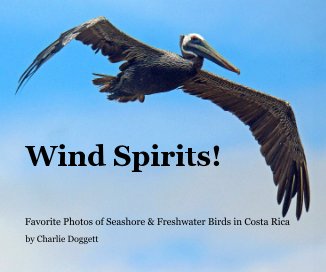 Wind Spirits! book cover