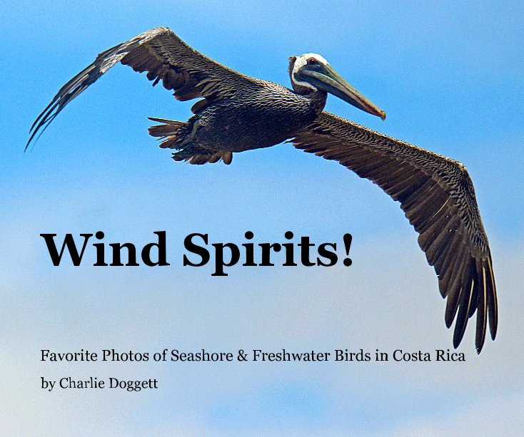 View Wind Spirits! by Charlie Doggett