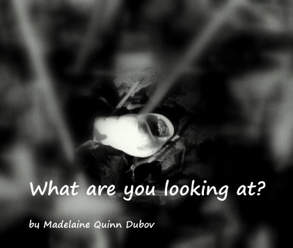 What are you looking at? book cover
