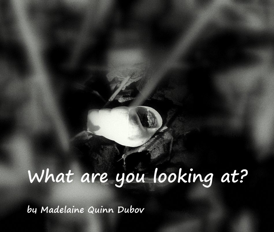 What are you looking at? nach Madelaine Quinn Dubov anzeigen