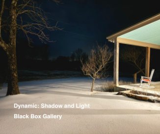 Dynamic: Shadow and Light book cover