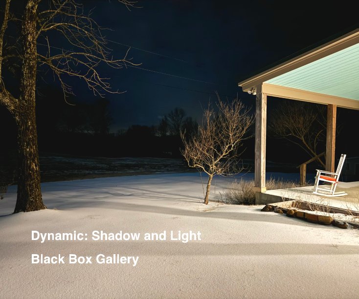 View Dynamic: Shadow and Light by Black Box Gallery