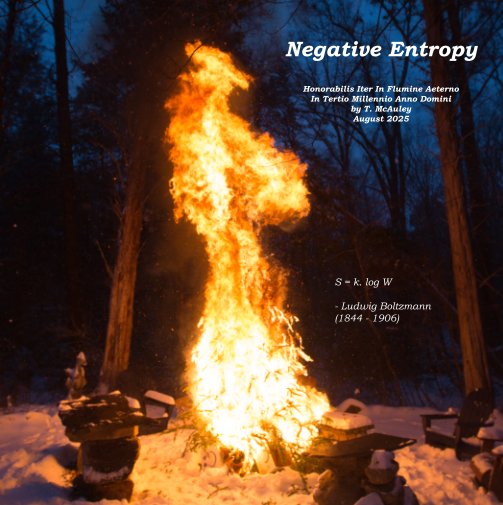 View Negative Entropy by Terence Francis McAuley