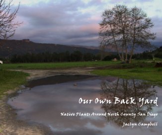 Our Own Back Yard book cover