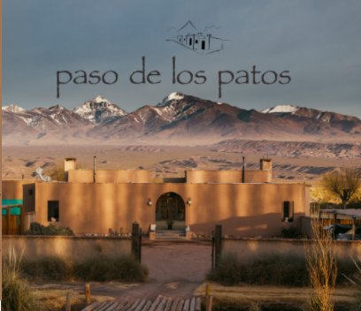 paso de los patos book cover