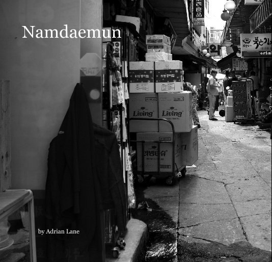 View Namdaemun by Adrian Lane