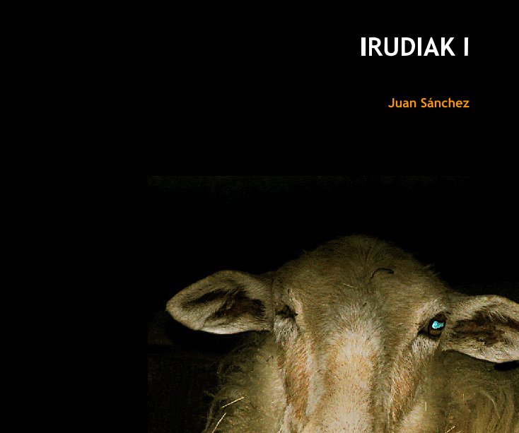 View IRUDIAK I by Juan Sánchez