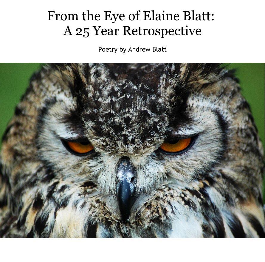 Ver From the Eye of Elaine Blatt: A 25 Year Retrospective Poetry by Andrew Blatt por lanieblatt