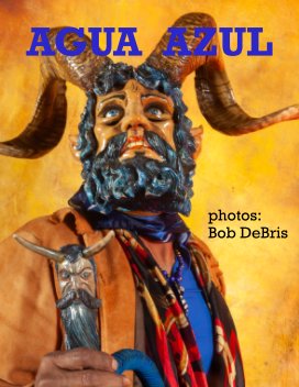 Agua Azul book cover