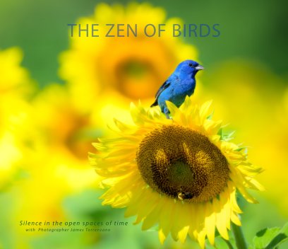 The Zen of Birds book cover