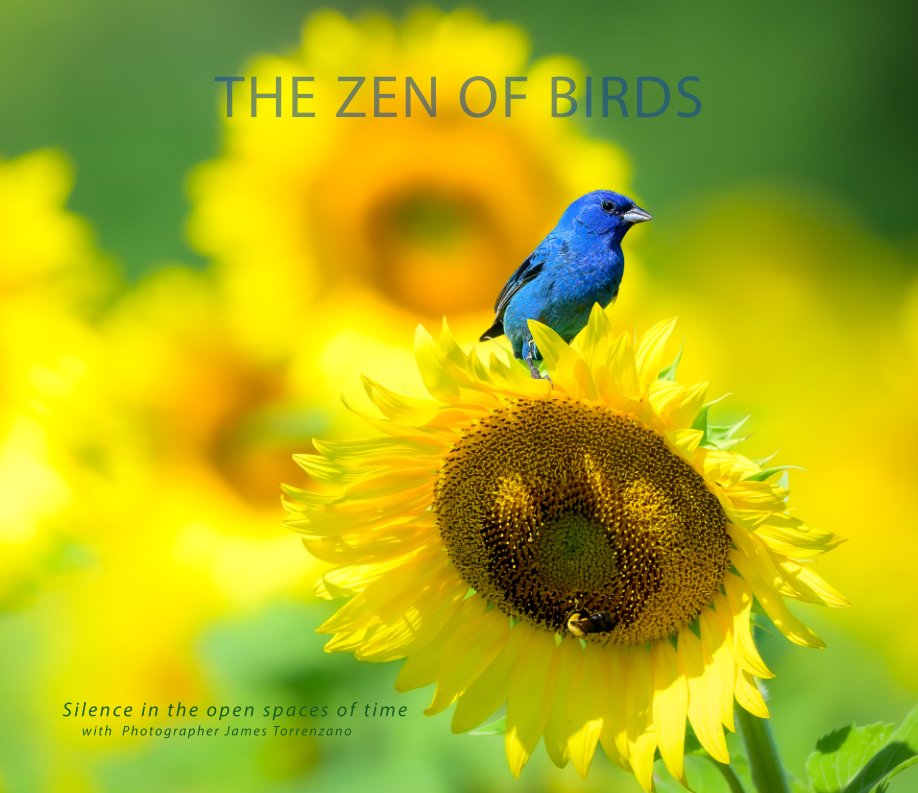 View The Zen of Birds by James Torrenzano
