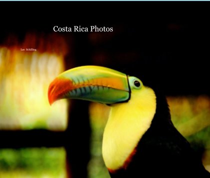 Costa Rica Photos                                


               December  2007
                  Photo workshop






                    Lee  Schilling book cover