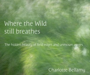 Where the Wild still breathes book cover