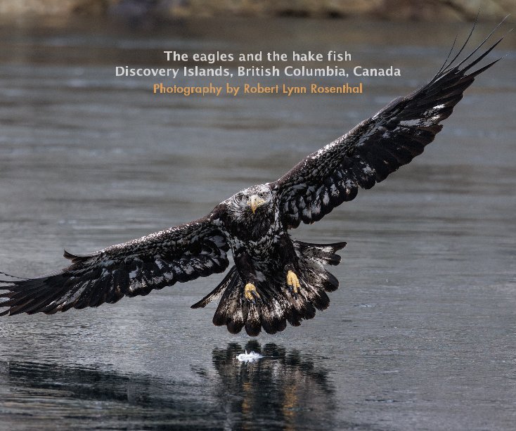 View The eagles and the hake fish by Robert Lynn Rosenthal