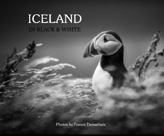 Iceland book cover