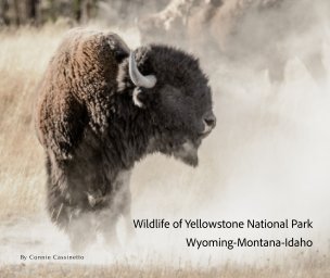 Wildlife of Yellowstone National Park book cover