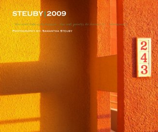 STEUBY|2009 book cover