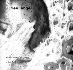 I See Angel book cover