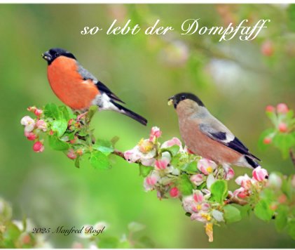 so lebt der Dompfaff book cover