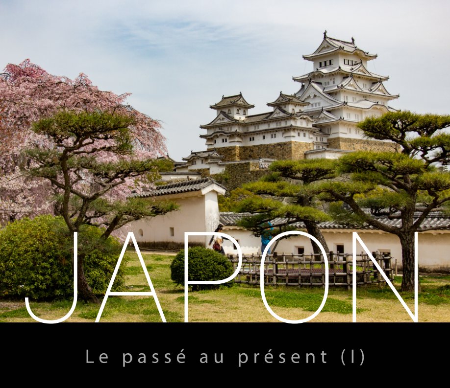 View Japon by Danièle Ricordel