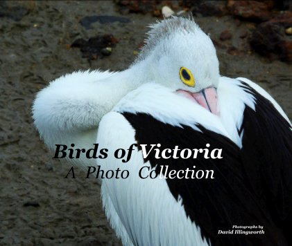Birds of Victoria A Photo Collection book cover