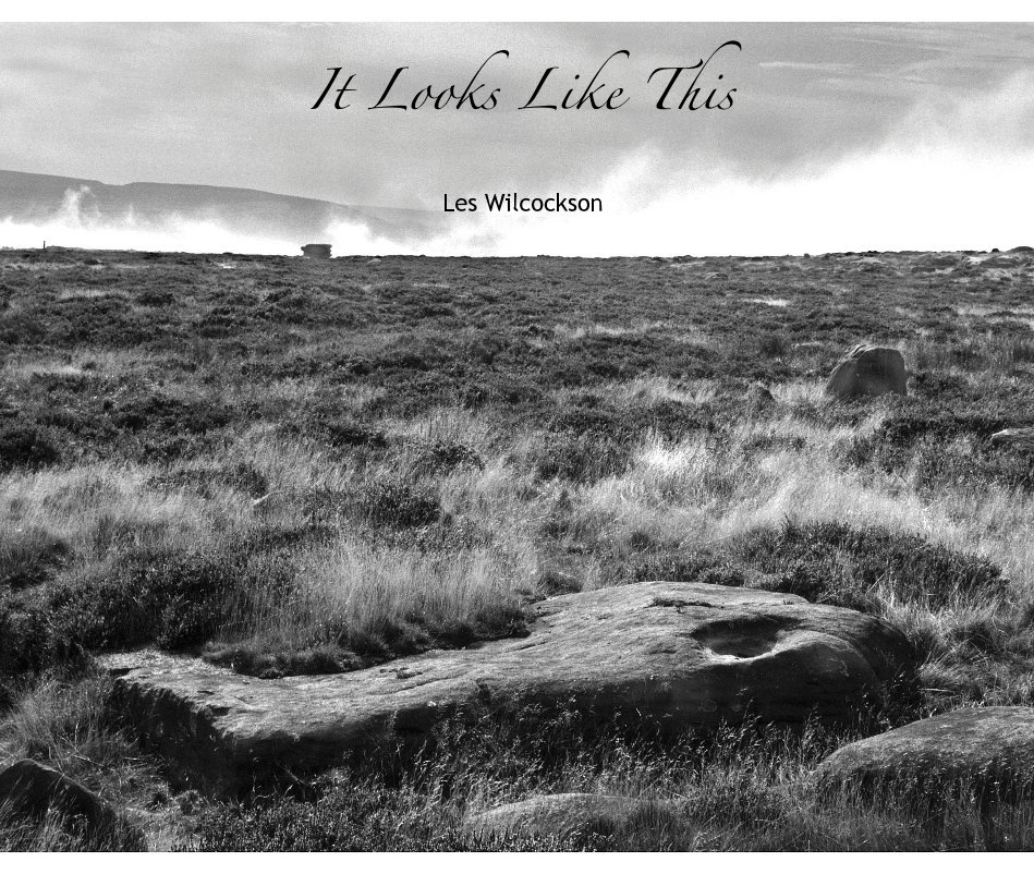 View It Looks Like This by Les Wilcockson