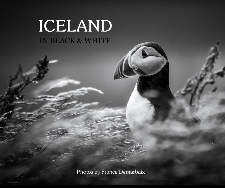 View Iceland in black and white by France Demarbaix