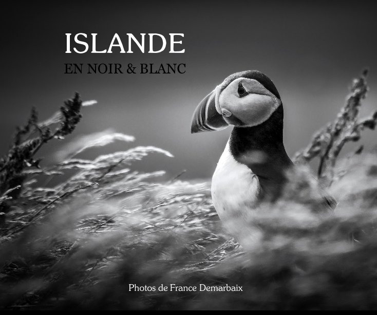 View Islande en noir et blanc by France Demarbaix