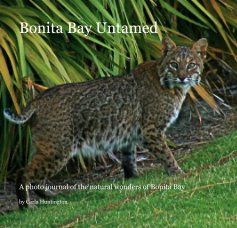 Bonita Bay Untamed book cover