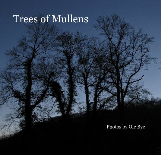 View Trees of Mullens by Ole Bye