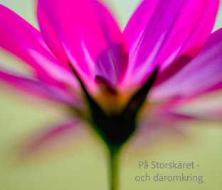 Storskäret och däromkring 2 book cover