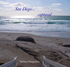 San Diego... captured book cover