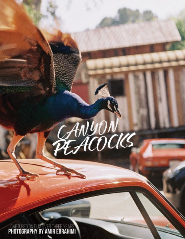 View Canyon Peacocks Final Magazine Test by Amir Ebrahimi