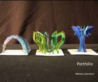 Portfolio book cover