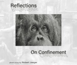 Reflections On Confinement book cover