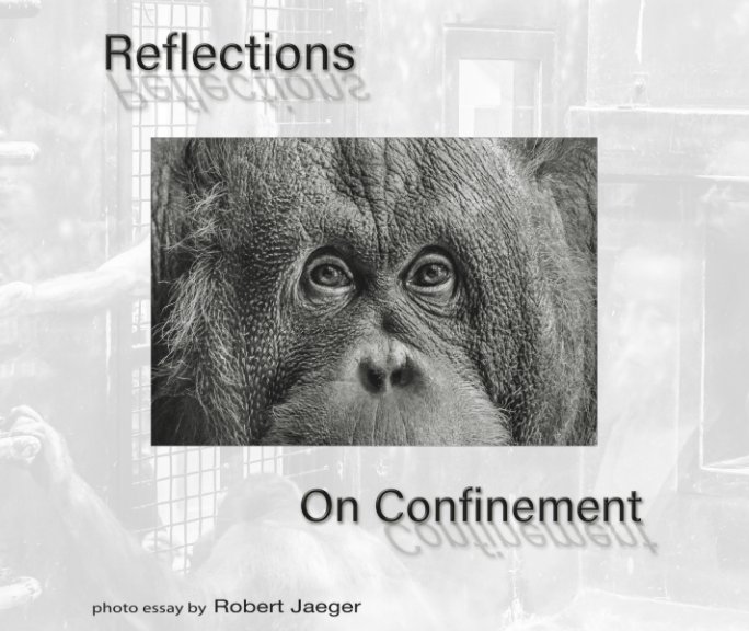 View Reflections On Confinement by Robert Jaeger