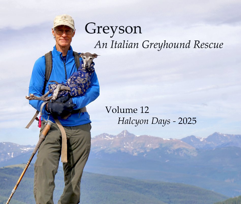 View Greyson An Italian Greyhound Rescue by William Pelander
