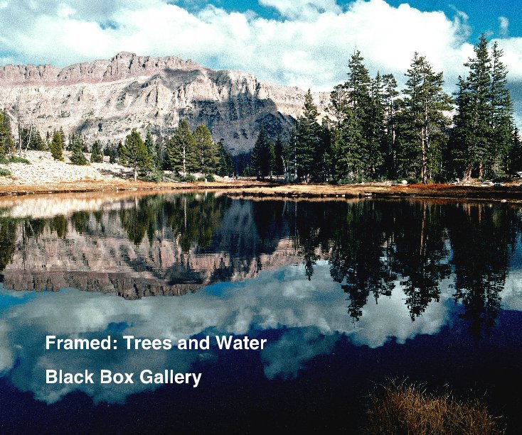 View Framed: Trees and Water by Black Box Gallery