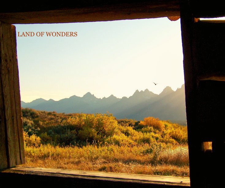 View Land of Wonders by Ilona Dzurek