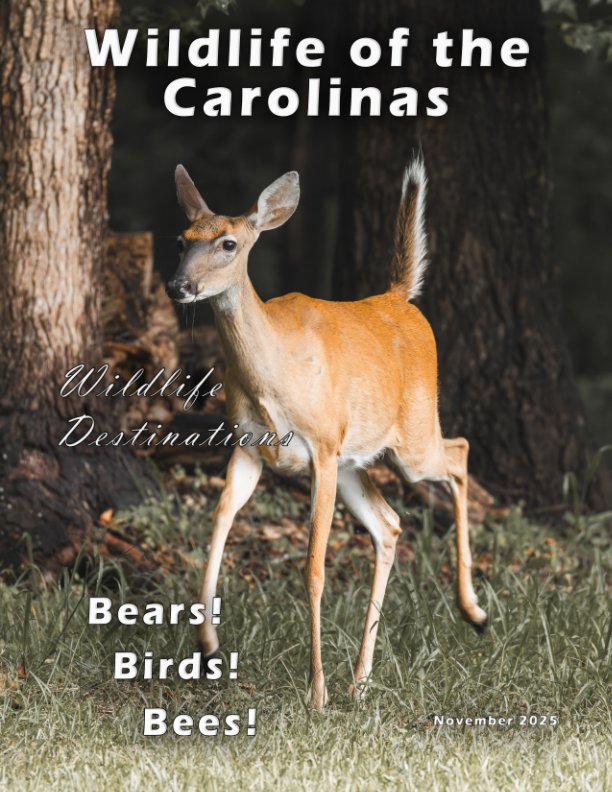View Wildlife of the Carolinas by John Brechisci