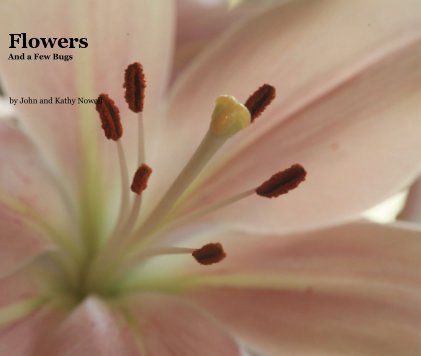 Flowers And a Few Bugs book cover