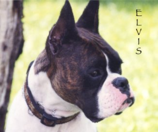 Elvis book cover