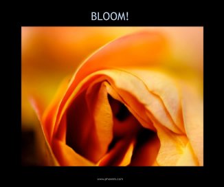 BLOOM! book cover