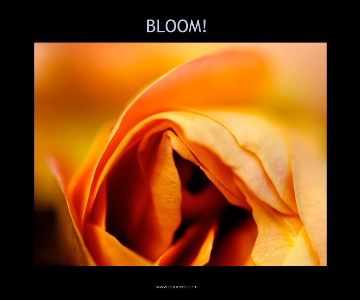 View BLOOM! by Mark Wohlwender
