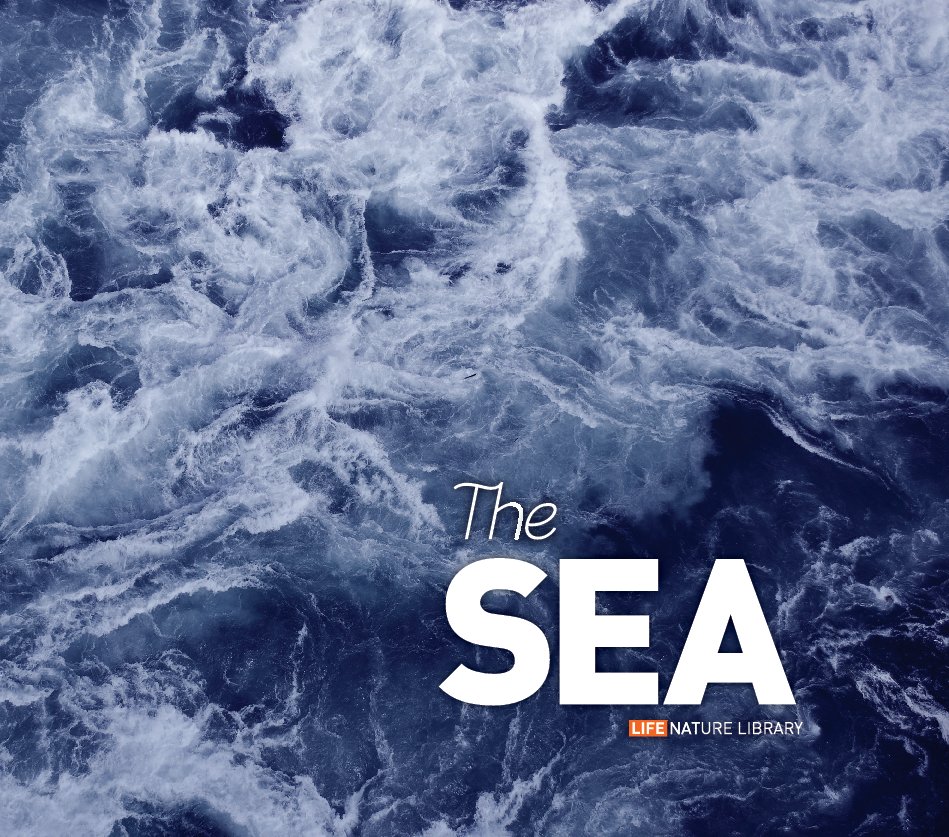 Ver The Sea por Benjamin Kowalski
