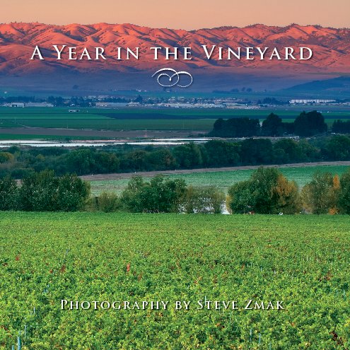 View A Year in the Vineyard - Second Edition, Soft Cover by Steve Zmak