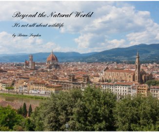 Beyond the Natural World book cover